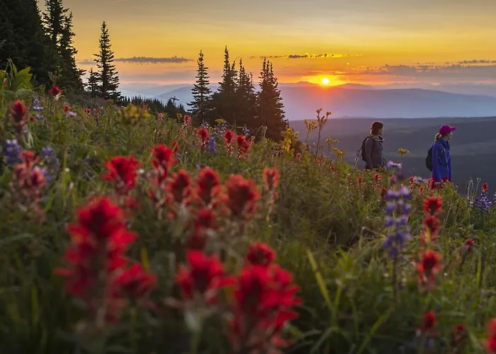 Kookaburra Lodge #303 By Bear Country Sun Peaks