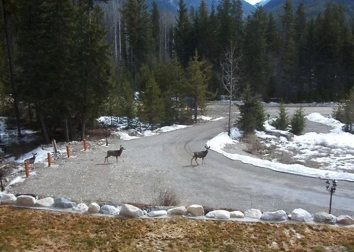 Glenogle Mountain Lodge And Spa Golden