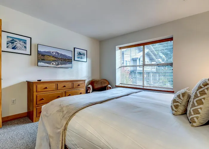 Snowy Creek 30 - Ski In Ski Out, Private Hot Tub, Short Walk To Whistler Village acceptant les animaux