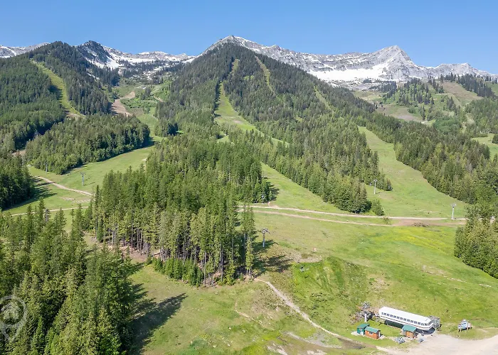 Griz Inn By Stayin Fernie