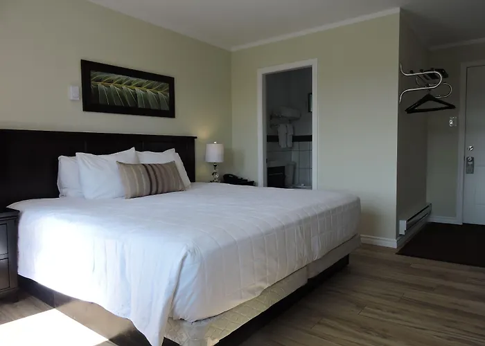 Almo Court Motel Cranbrook