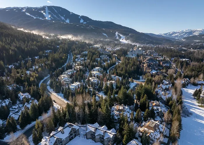3Br In Gleneagle, Soaker Tub With Skylight, Wood Burning Fireplace, Spacious Layout Whistler