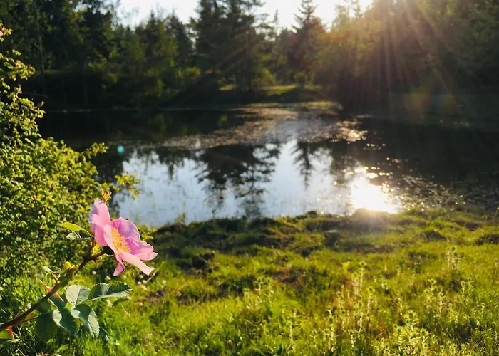 The Happy Bell Tent Nanaimo